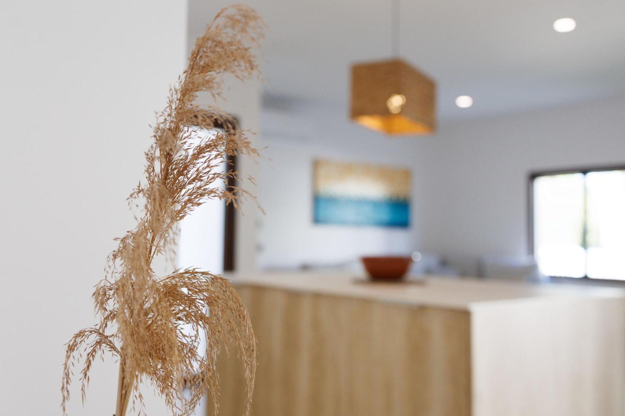 Villa Can Ordinas Alcúdia Eksteriør bilde