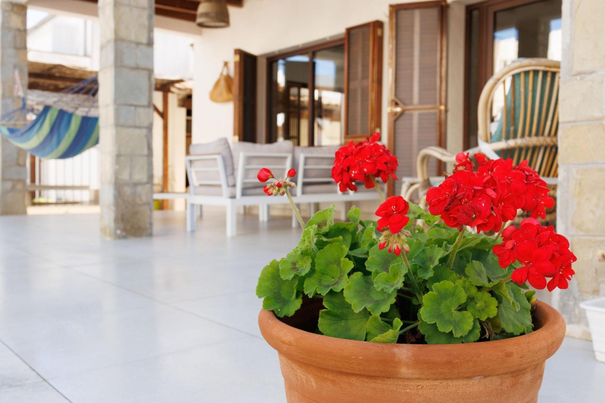Villa Can Ordinas Alcúdia Eksteriør bilde